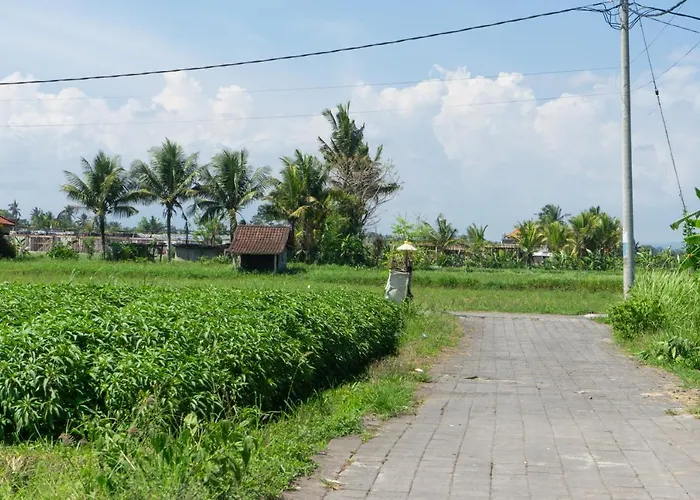 Guest house Krisna Tapan